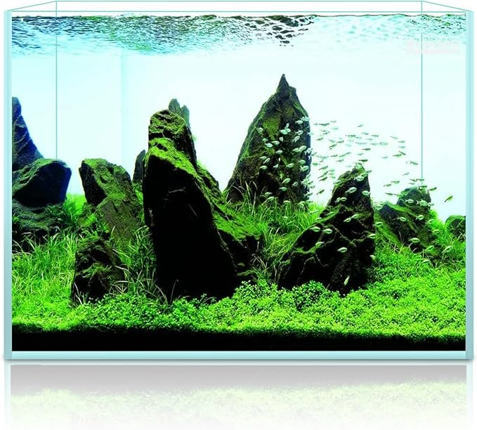 2.9 Gallon Rimless Aquarium, Ultra Clear Glass Low Iron Aquarium Tank, Small Fish Tank for Betta, L11.8×W5.9×H9.8 Inches Thickness 5mm with EVA Foam Mat Included