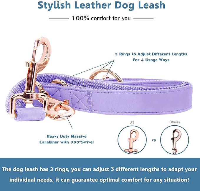 Soft Leather Dog Collar and Leash (6.6') Set - Stylish Rose Gold Heavy Duty Metal Buckle, 4 Adjustable Lengths Leash for Small Medium Large Dogs - Comfortable & Easy to Clean (XS, Light Purple)