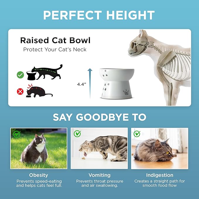Necoichi Raised Cat Food Bowl – Ceramic Elevated Cat Bowl for Whisker & Neck Fatigue, Dishwasher Microwave Safe – Non-Slip & Anti Vomiting Ergonomic Design (Cats, Large)