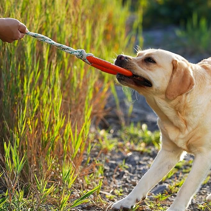 Green Sheep Natural Rubber Dog Chew Toy, Interactive Ring Rope Dog Toy for Tug of War, Durable Dog Toy with Recycled Cotton Rope for Medium to Large Dogs,Orange