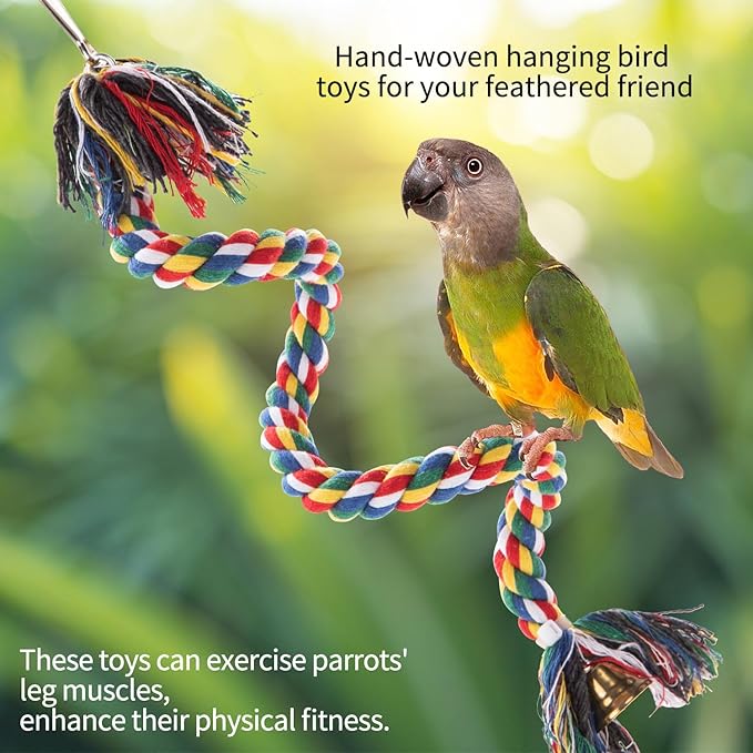 RLRICH 3 Pack Bird Toys Parrot Foraging Toys, Seagrass Basket Bird Chewing Toys with Colorful Tearing Paper Bamboo Fingers Natural Nut Wooden Blocks for Small Medium Parrot Bird