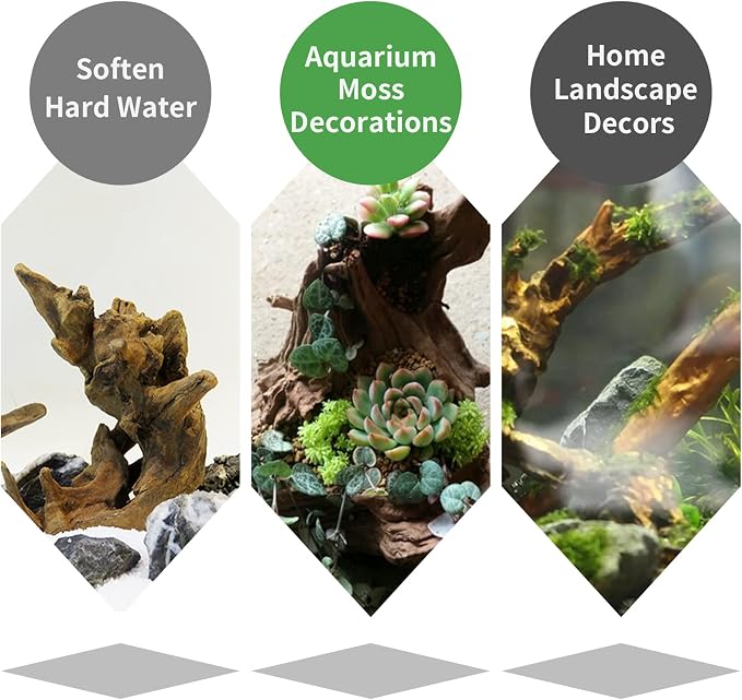 Hamiledyi 5 Pcs Driftwood Branches Aquarium Wood Decoration Natural Fish Tank Habitat Decor Wood for Lizard Assorted Size-Small