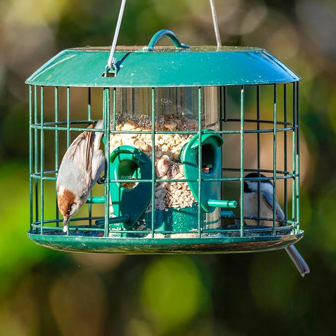 Kingsyard Tube Squirrel Proof Bird Feeders for Outdoor Hanging, Metal Caged Bird Feeder with Rain Proof Covered for Wildbirds Finches Bluebird, 4 Feeding Ports, Green
