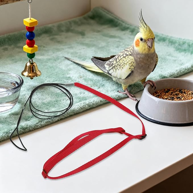 Bird Flight Harness Leash: Adjustable Parrot Flying Rope - Escape-Proof Harness for Pet Birds - Outdoor Training Strap for Parakeets and Small Parrots
