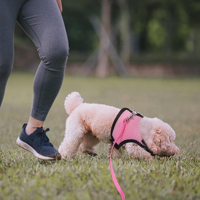 TEHAUX 2pcs Small Pet Harness and Leash Set for Walking Breathable Mesh Vest Adjustable for Rabbits, Guinea Pigs, Puppies, and Kittens Pink and Fruit Green Medium Size for Outdoor