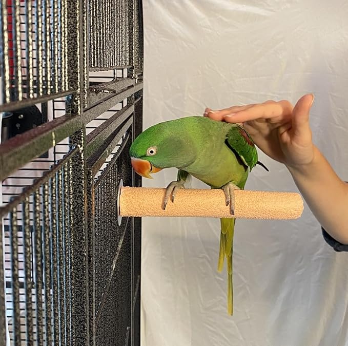 Polly's Pastels Nail Trimming & Beak Conditioning Safety Perch for Cockatiels, Cockatoos, Macaws, Parakeets, Budgies, Parrots and All Other Birds (Coral, Medium-1 1/4" Dia. x 8" Long)