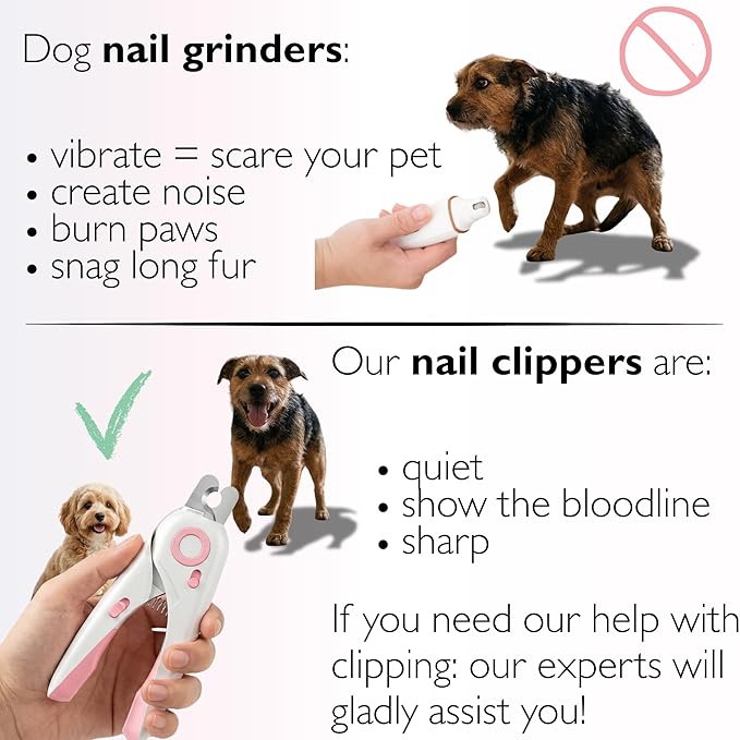 4-in-1 Dog Nail Clippers with Light - Safe Pet Nail Trimmer for Dogs & Cats, All Breeds - Sharp Stainless Steel Blades, Nail Catcher & File for Easy Home Grooming