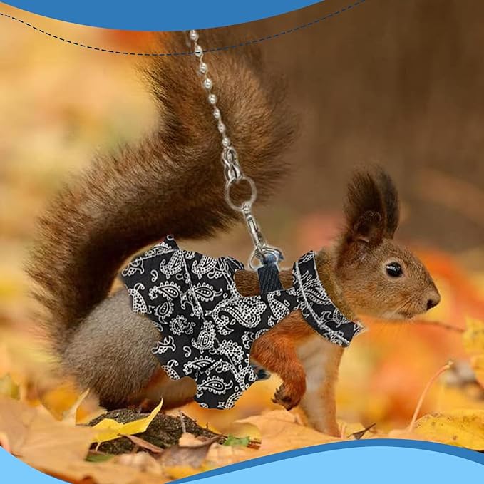Guinea Pig Harness Skirt Clothes and Leash, Adjustable Hamster Ferret Harness and Leash Set, No Pull Walking Vest for Ferrets, Chinchillas and Similar Small Animals (Black M