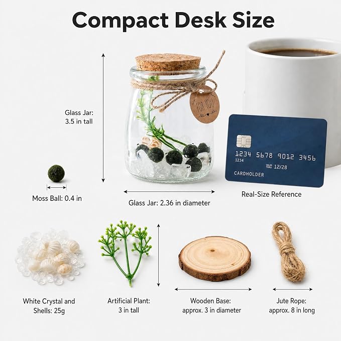 Moss Balls Glass Terrarium Kit,5 Pcs Lucky Moss Balls Pets,White Crystal,Artificial Plants,Aquarium Decor DIY Starter with Moss for Adults and Kids, Green Decor