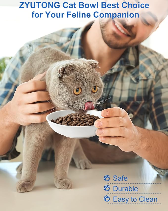 Ceramic Cat Bowl Whisker Friendly – Wide Shallow Cat Food Dish with Non-Slip Base, Dishwasher Safe Feeding Bowl for Indoor Cats