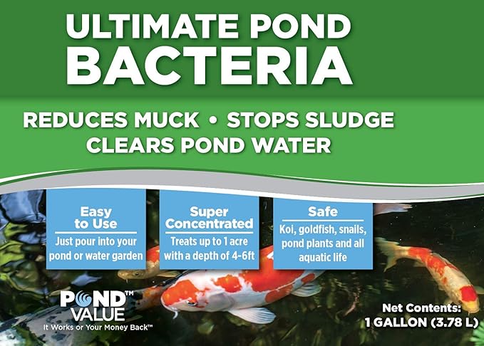 PondValue Ultimate Pond Bacteria, Outdoor Pond & Lake Natural Beneficial Bacteria Treatment, Aquatic Odor Reducer & Sludge Digester, Fish, Plant, & Livestock Safe, Easy Dosing Liquid, 1 Gallon Bottle