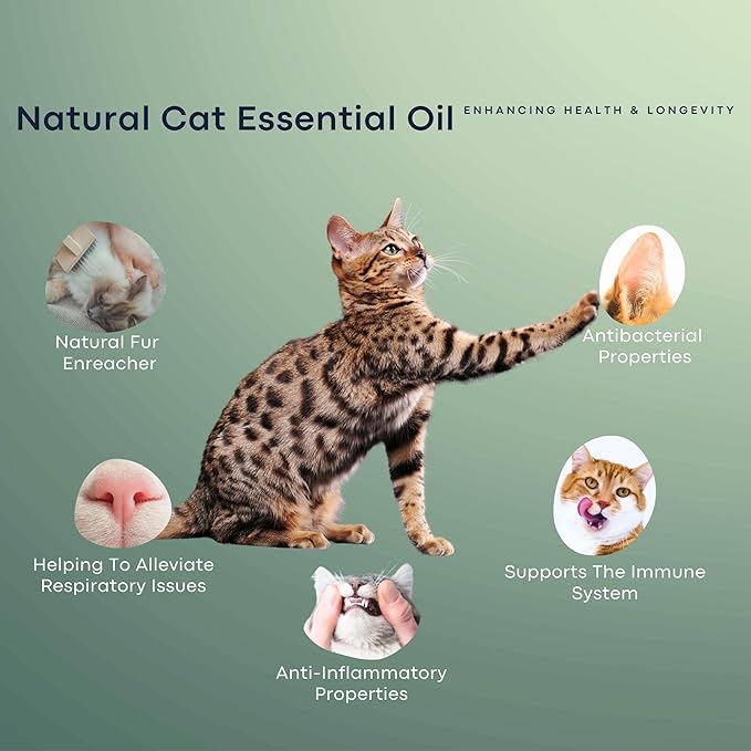 Natural Cat Stop Meowing Collar, Anti Meow Meow Deterrent Breakaway Collar, Vet-Approved & Pet-Safe (Light Blue - Copaiba)
