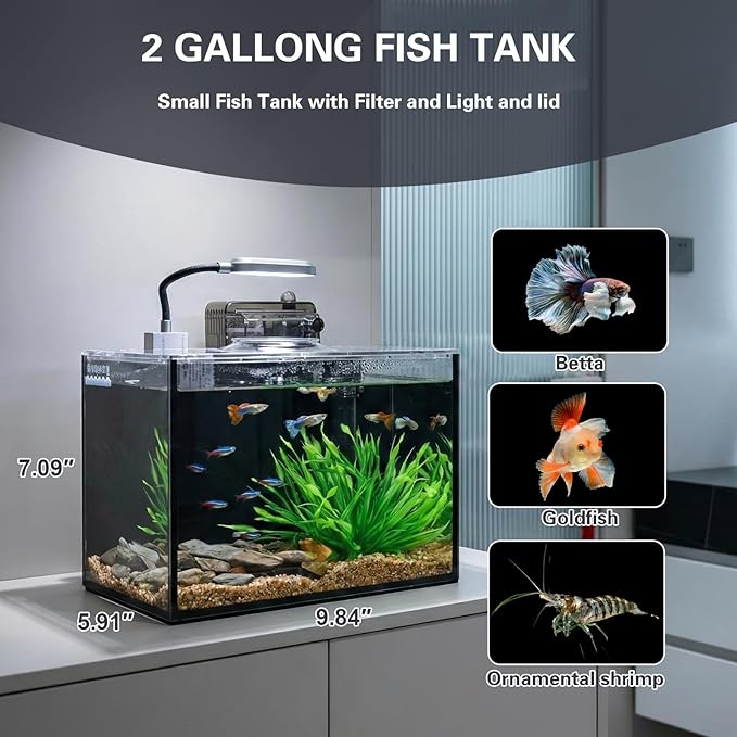 2 Gallon Small Aquarium Set Glass Fish Tank,Desktop Small Aquarium Kit for Beginners and Children to Keep Betta Fish, Goldfish, Shrimp, and Aquatic Plants (Black, 2 Gallon (Complete Kit) ﻿)