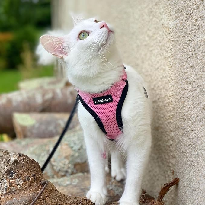 rabbitgoo Cat Harness and Leash for Walking, Escape Proof Soft Adjustable Vest Harnesses for Cats, Easy Control Breathable Reflective Strips Jacket, Pink, XS