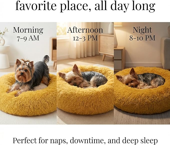 Calming Donut Dogs Beds for Small Dogs Washable,19inch Fluffy Round Puppy Bed for Puppies,Cats & Toy Breeds with Raised Rim,Fits up to 15 lbs Pets,Orange