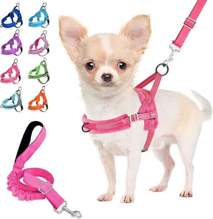 Lukovee No Pull Dog Harness and Leash Set, Soft Padded Small Dog Harness, Neck & Chest Adjustable Reflective Vest Puppy Harness with 4ft Lightweight Anti-Twist Dog Leash for Small Dogs (S, Pink)