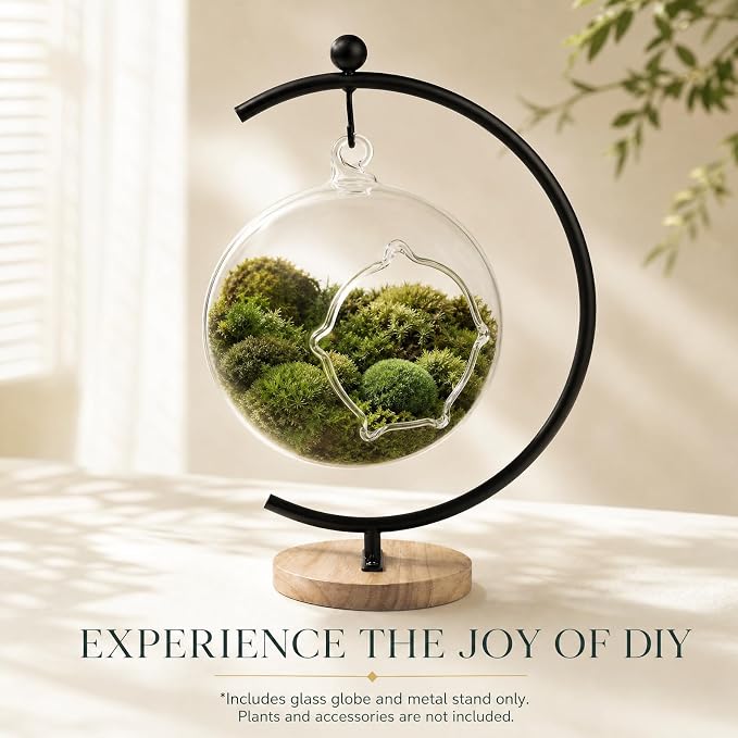 Terrarium Globe Kit, 4.7" Hanging Terrarium for Plants | Small Floating Garden with Wooden Display Stand for Succulents, Indoor Nature Decor, Easy Assembly, Gift for Plant Lover