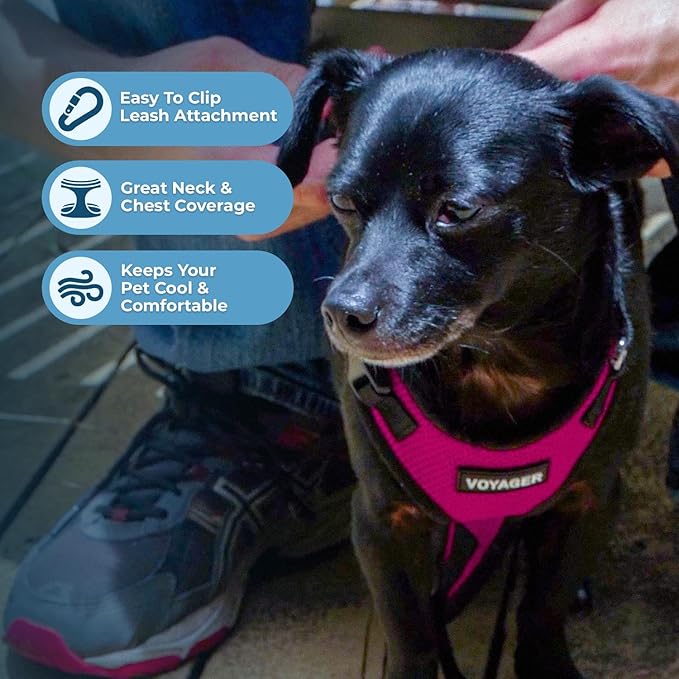 Voyager Step-in Pet Harness - All Weather Mesh, Adjustable Step in Harness for Cats and Dogs by Best Pet Supplies - Fuchsia/Black Trim, XL