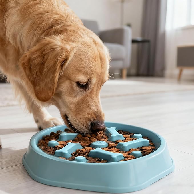 Slow Feeder Dog Bowls Anti Gulping Reduces Gastric Burden Prevents Bloat and Digestive Issues Safe Durable Material Easy to Clean Puppy Slow Feeder Bowl for Healthy Eating Excess Energy Management