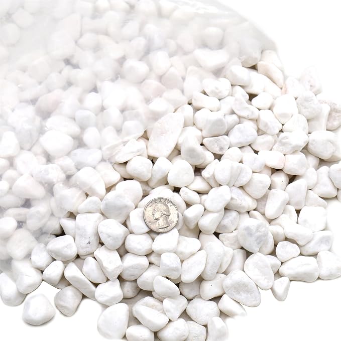 White Rocks for Plants & Planters, Decorative Pebbles, 0.5-1 Inch, 18 lb