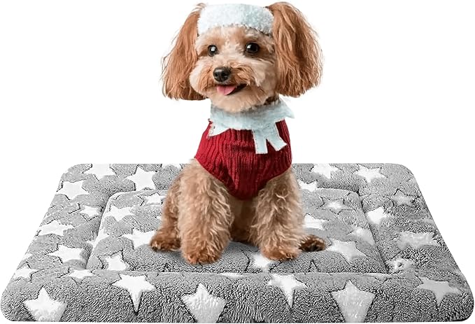 Dog Bed Mat, Reversible Crate Pad & Cute Dog Bed - Machine Washable Kennel Mat with Ultra Soft for Small Dogs (Cool/Warm), 24" x 18", Grey&Star