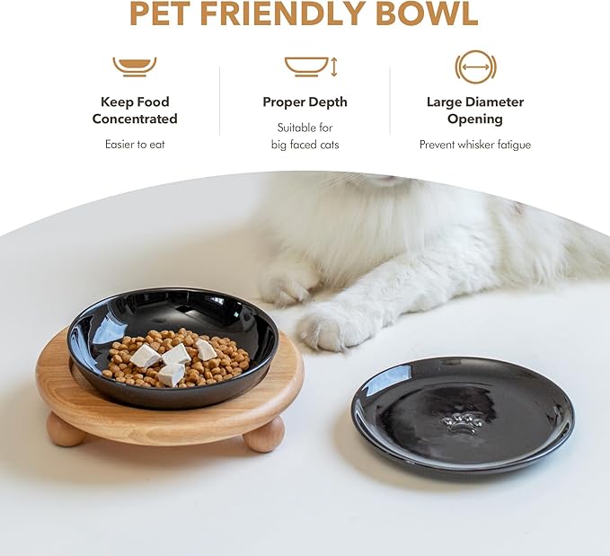 Havniva Elevated Cat Bowls, Ceramic Cat Food Bowl Whisker Friendly Cat Dishes, Kitten Food & Water Bowl with Two Heights Stand, Anti-Slip Raised Cat Food Plates