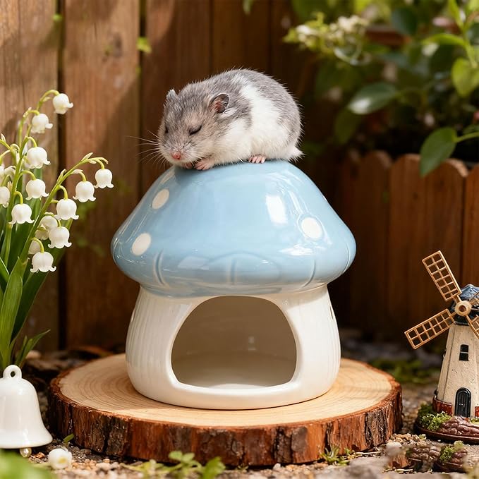 Baoblaze Ceramic Hamster House, Small Animal Hideout, Sturdy Cute Mushroom Shaped Cave Hideaway House for Gerbils Chinchilla, Blue