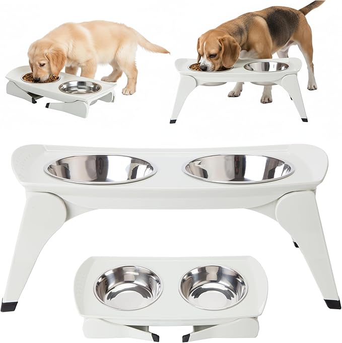 MalsiPree Elevated Dog Bowls for Small Dogs - 6.5" Raised Dog Bowl Stand with Splash Guard - Portable Folding Pet Feeding Station with 2 Stainless Steel Bowls - Dog Birthday & Adoption Gift, White