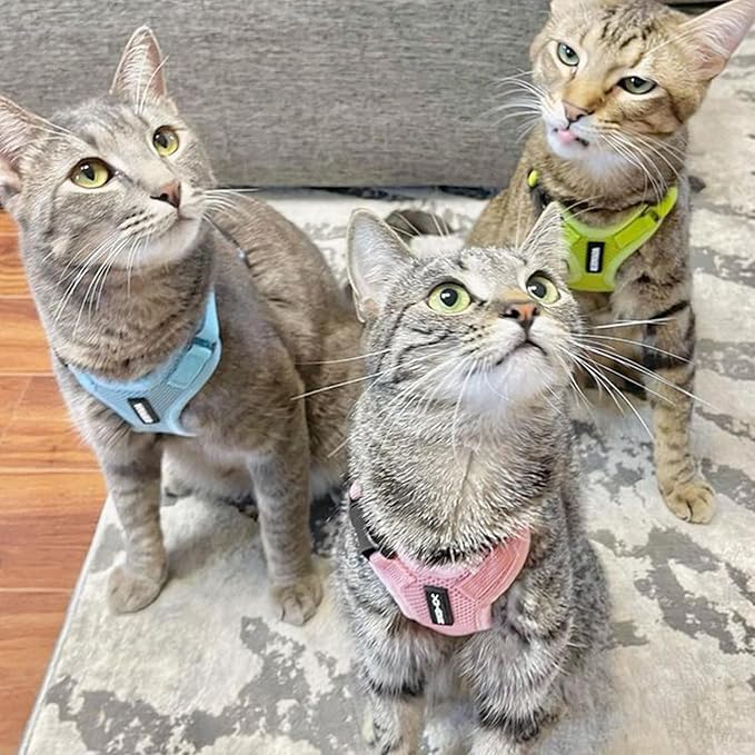 Voyager Escape-Proof Step-in Lock Cat Harness & 5ft Neoprene-Handle Leash Set All-Weather Mesh with Reflective Stitching for Small to Large Cats by Best Pet Supplies, Pink, XXXS