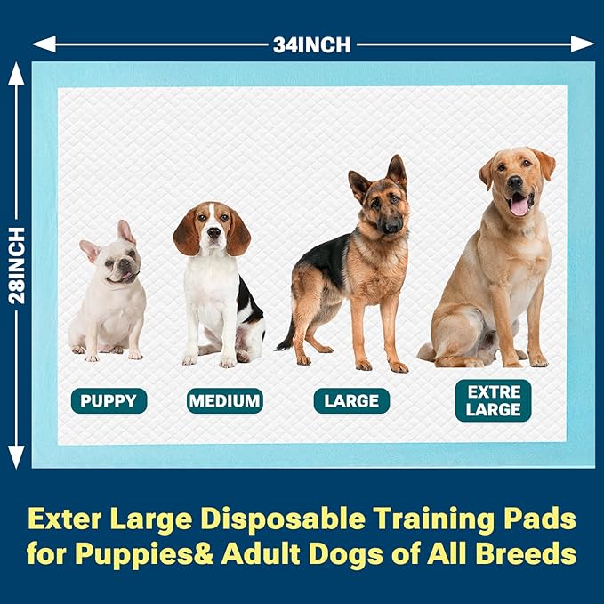 Clean Spaces Extra Large Puppy Pads 28"x34",Super Absorbent Disposable Pee Pads for Dogs / Wee Wee Pads / Potty Training Pads, Incontinence Bed Underpads for Adults, 50 Count