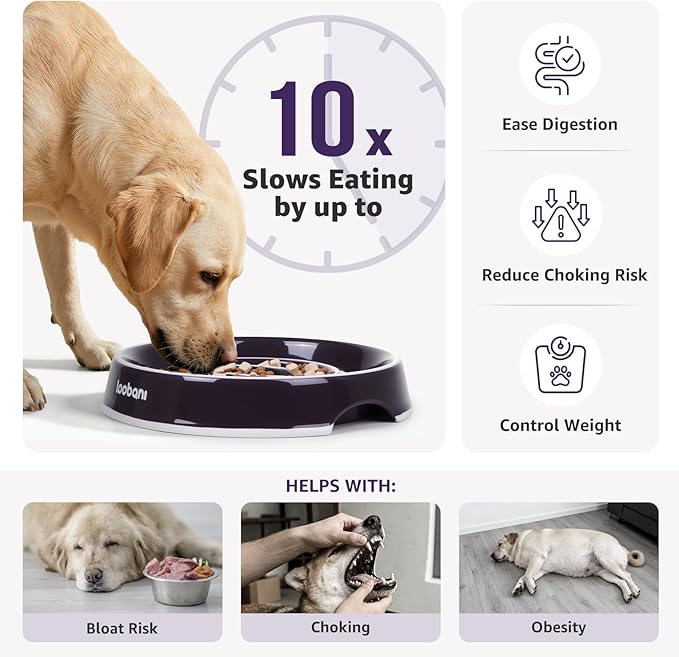 LOOBANI Ceramic Slow Feeder Dog Bowl for Large Dogs 10.2" W- Slow Eating, Perfect for Labradors, Goldens & Huskies for Medium & Large Dogs (L, Purple)