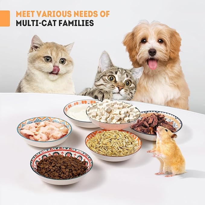 YEAHGO Cat Bowls Ceramic Cat Food Bowl for Indoor Cats and Kittens, 5.5" Anti Whisker Fatigue Cats Dishes, Shallow Wide Plates Cute Pet Feeding Bowls for Food and Water,6 Pack