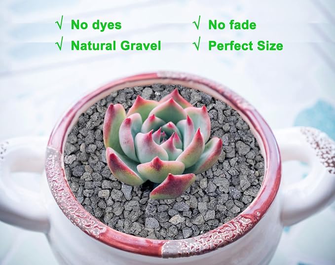 Boniosz 2lb Black Horticultural Lava Rock Soil Additive for Cacti, Vase Fillers, Succulents and Terrarium Plants - No Dyes or Chemicals - 100% Pure Volcanic Rock