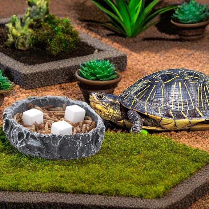 DQITJ 18 Pcs Small Reptile Calcium Stone Natural Calcium Mineral for Reptiles Turtle Tortoise Lizard Frog Chameleon (3 Pack)