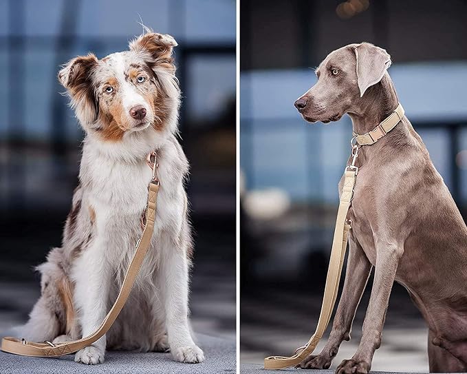 Soft Leather Dog Collar and Leash (6.6') Set - Stylish Rose Gold Heavy Duty Metal Buckle, 4 Adjustable Lengths Leash for Small Medium Large Dogs - Comfortable & Easy to Clean Beige S(12.2"-16.9")