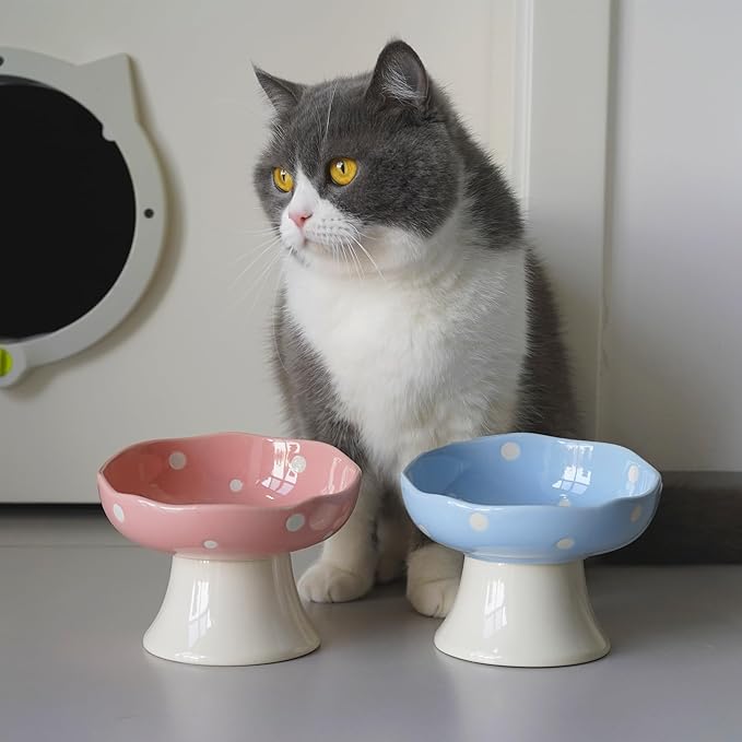Ceramic Elevated Cat Bowls, Tilted Raised Pet Dish for Indoor Cats, Whisker Friendly Pet Food and Water Bowl for Kitten, Cat, Puppies, Dishwasher Safe (Blue)