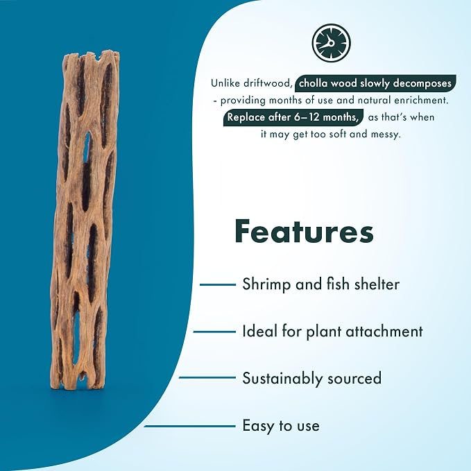 Natural Cholla Wood - Driftwood for Aquariums, Air Plant Base, Hermit Crab and Freshwater Shrimp Hideout, Fish Tank Decoration, Chinchilla Chews, Reptile Habitat Wood - 6 Inch, 5pc