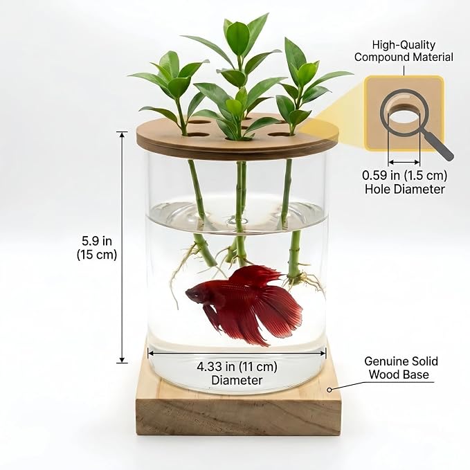 Desktop Aquaponic Betta Fish Tank, Ultra-Clear Borosilicate Glass Hydroponic Planter Vase with Premium Polymer Lid & Solid Wood Base, Small 4.33" Desktop Eco-Aquarium Jar for Home Office Decor