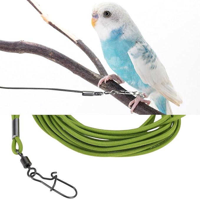 Bird Harness Flying Training Rope 3M for Parrots Pigeons and Budgerigars with 4# Ring (Green)