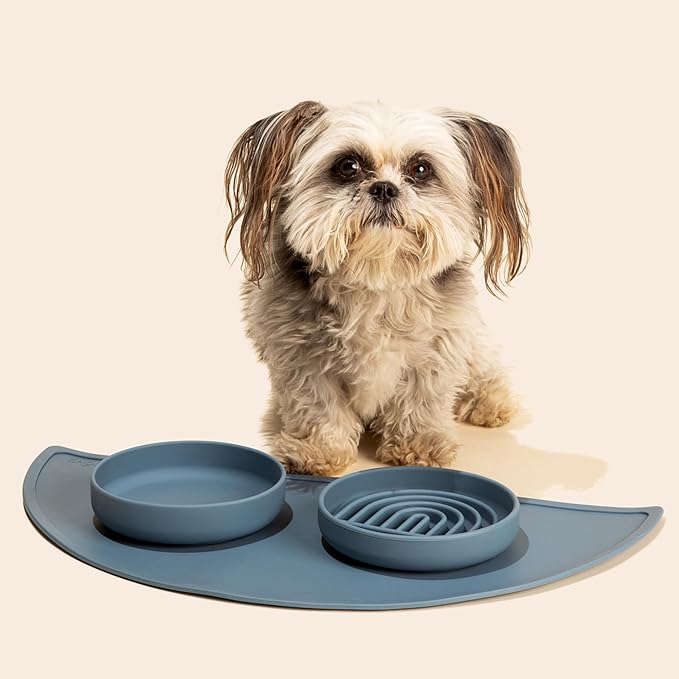 Should We Go? Slow Feeder for Dogs & Cats, The Slowdown Bowl Silicone Slow Eating Mealtime Solution with Modern Lick Mat Design, Reduces Gulping, Fits 1 Cup, 6” Across x 1.25” Tall, Small-Ocean