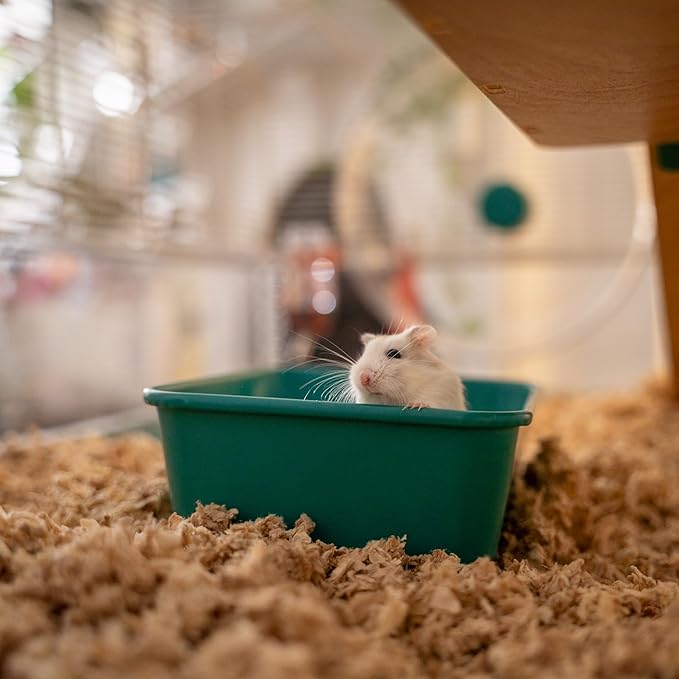 Omlet Hamster Sand Bath | Perfect Sand Bath Size for All Types of Hamsters and Gerbils | Comes with Compostable Hide to Slot in Under The Stand for Post Bath Burrowing | Green