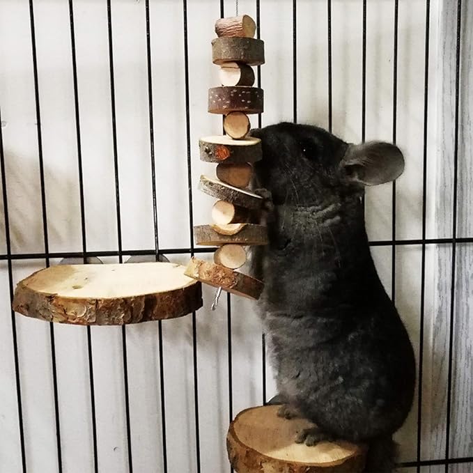 FJNATINH Small Animal Chews Toy Apple Wood Block Cage Hanging Molars Treats Snack for Hamsters Rabbits Bunny Bird Parrots Chinchilla Guinea Pig Gerbils Squirrels, 2 Pack