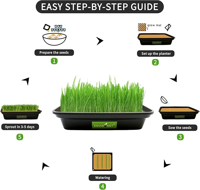 Hydroponic Cat Grass for Indoor Cats | Organic Cat Grass Seeds Mix with Black Low-Top Planter | Pet Safe and Non-GMO | Natural Indoor Grass for Cats' Digestion Health