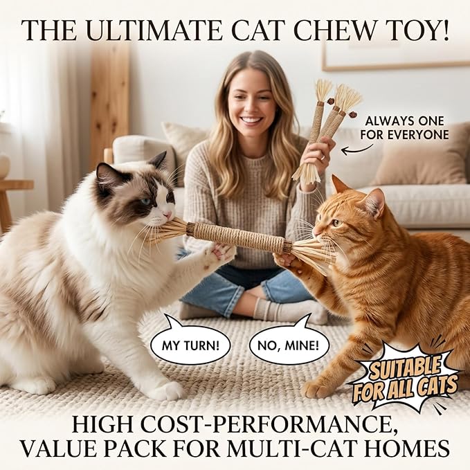 Cat Toys, 3PCS Catnip Toy for Indoor Kitten Toys Cat Chew Stick for Dental Cleaning Teeth Cat Silvervine Matatabi Rope Treat Kitty Feather Snack for for Kick Molar Scratch Self Play