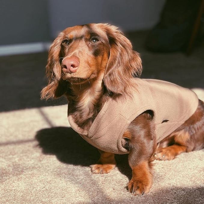 Gooby Fleece Vest Dog Sweater - Clay, Medium - Warm Pullover Fleece Dog Jacket with O-Ring Leash for Small to Medium Dogs