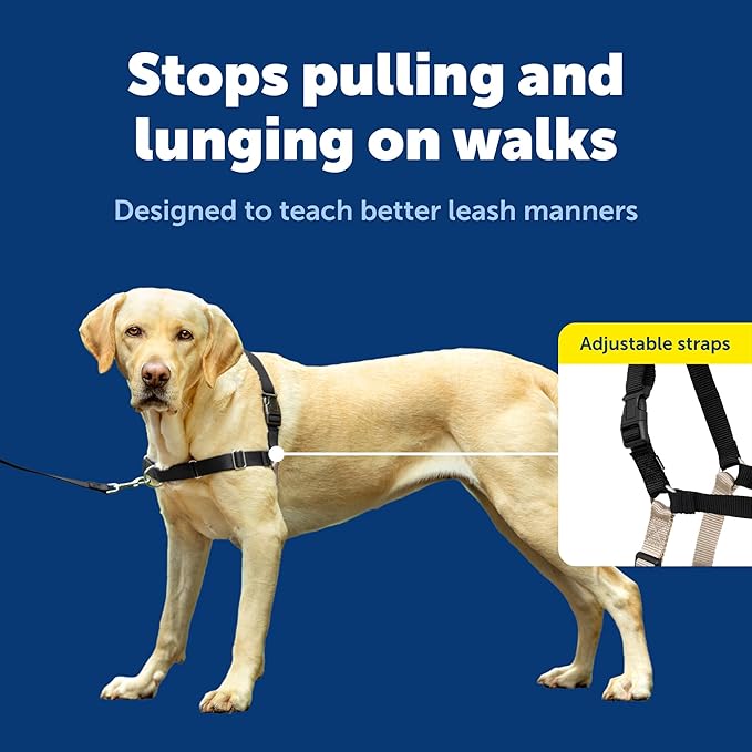 PetSafe Easy Walk No-Pull Dog Harness - The Ultimate Harness to Help Stop Pulling - Take Control & Teach Better Leash Manners - Helps Prevent Pets Pulling on Walks - Large, Black