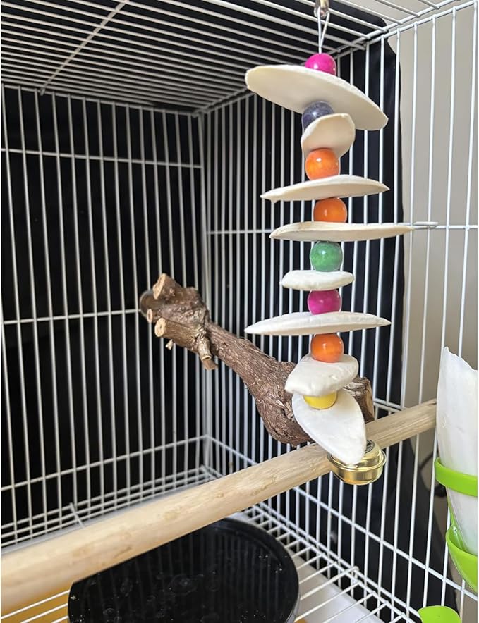 2 Pack Bird Toys with Cuttlebone, Parakeet Toys, Bird Beak Grinding Stone, Cage Accessories for for Parakeet Conure Lovebird Cockatiel Finch Canary Hamster Chinchilla Rabbit (Large)