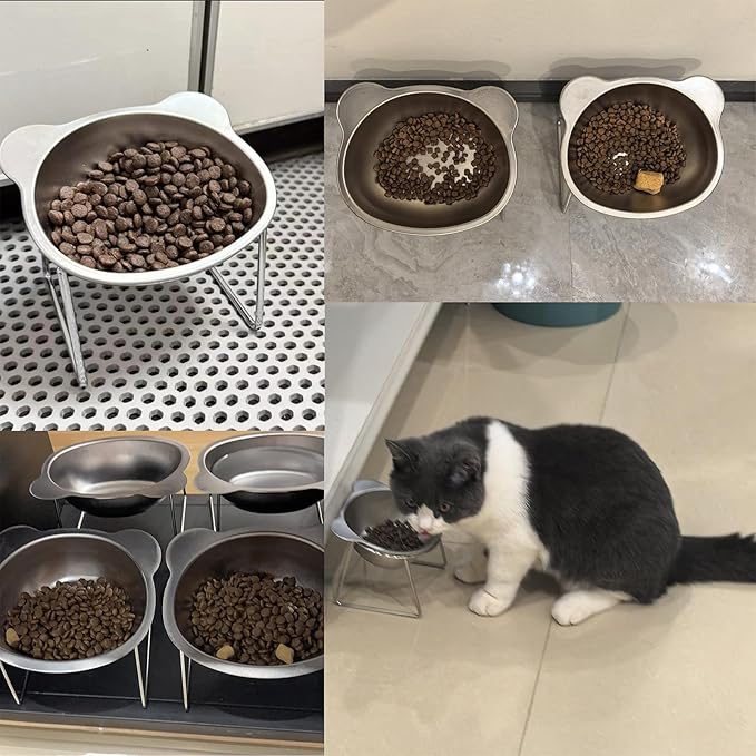 2 Pcs Elevated Cat Bowls, 15°Tilted Stand Whisker Friendly Raised Cat Food & Water Dishes, 5.9 inch Stainless Steel Indoor Anti-Vomiting Small Dog Bowls,Dishwasher Safe,Spine Friendly