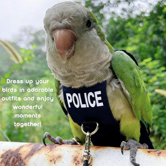 Bird Diaper Flight Suit, Cute Cosplay Parrot Clothes, Easy-to-Wear Washable Nappy, Durable Metal Ring Harness for Cockatiel, Conure, African Grey, Parakeet Outdoor Flying (with Leash,XL)