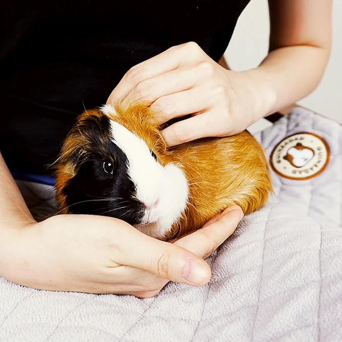 GuineaDad Liner | Guinea Pig Fleece Cage Liners | Guinea Pig Bedding | Burrowing Pocket Sleeve | Extra Absorbent | Waterproof Bottom (C&C 2x4, Orange)